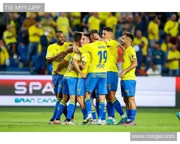 R其D与W地利的精彩对决解析与赛季前景展望